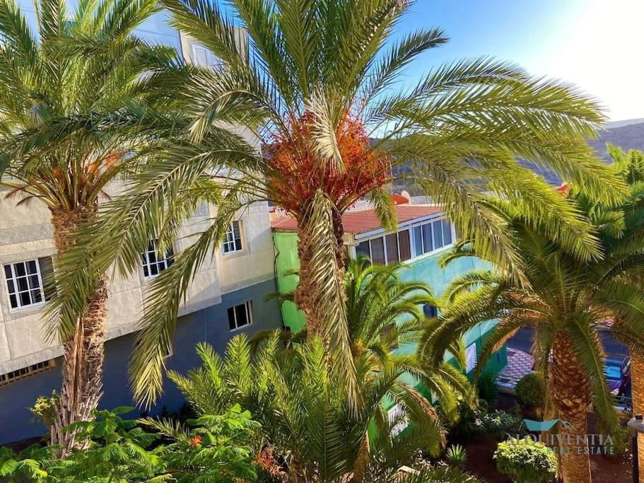 Texeida'S Home Arguineguin Εξωτερικό φωτογραφία